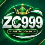 ZC999 Game